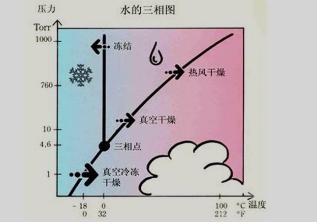冷凍干燥機要多久才可以凍干一批物料？